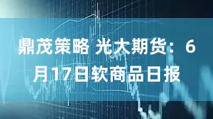 鼎茂策略 光大期货：6月17日软商品日报