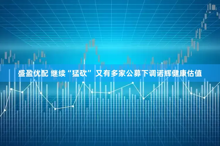 盛盈优配 继续“猛砍” 又有多家公募下调诺辉健康估值