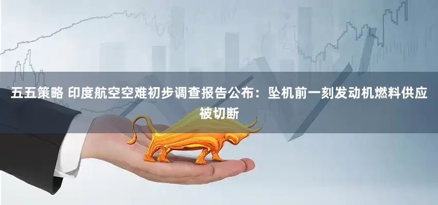 五五策略 印度航空空难初步调查报告公布：坠机前一刻发动机燃料供应被切断