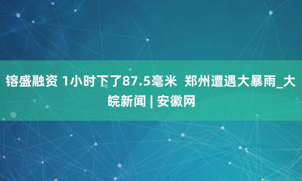 镕盛融资 1小时下了87.5毫米  郑州遭遇大暴雨_大皖新闻 | 安徽网