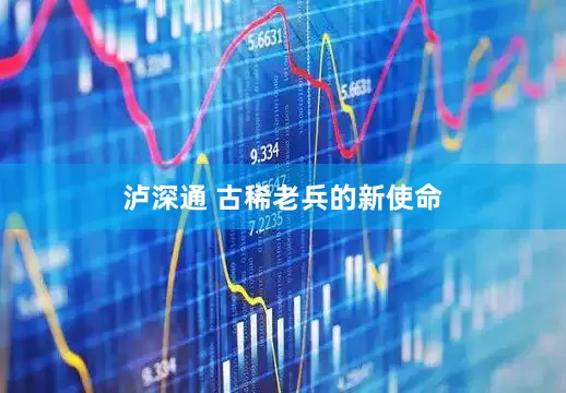 泸深通 古稀老兵的新使命