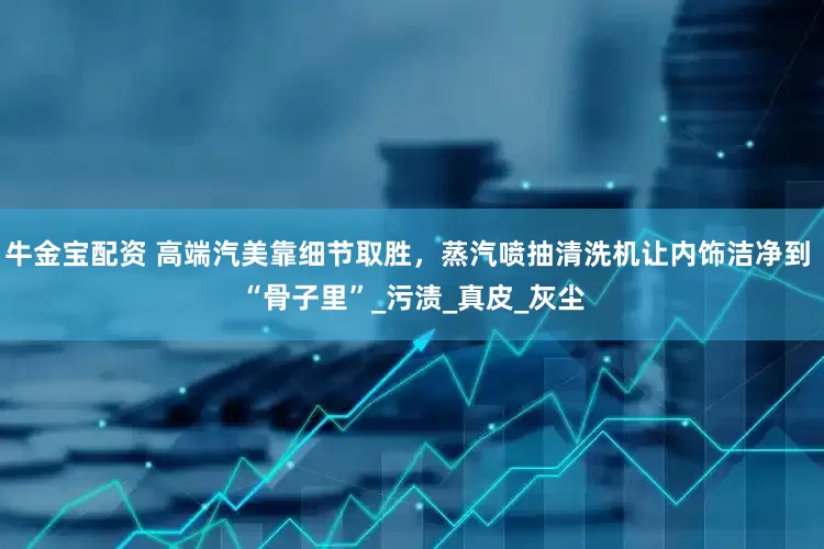 牛金宝配资 高端汽美靠细节取胜，蒸汽喷抽清洗机让内饰洁净到 “骨子里”_污渍_真皮_灰尘